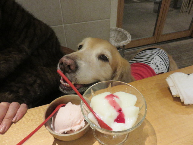 ファイル 4768-4.jpg