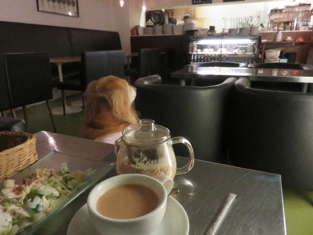 ファイル 4769-4.jpg