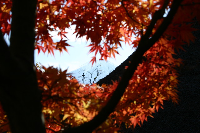 ファイル 477-3.jpg