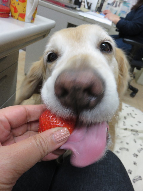 ファイル 4772-4.jpg