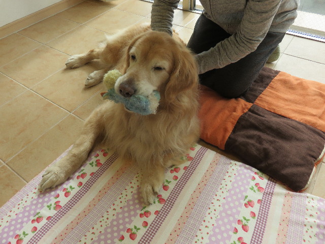 ファイル 4772-5.jpg