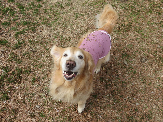 ファイル 4773-2.jpg