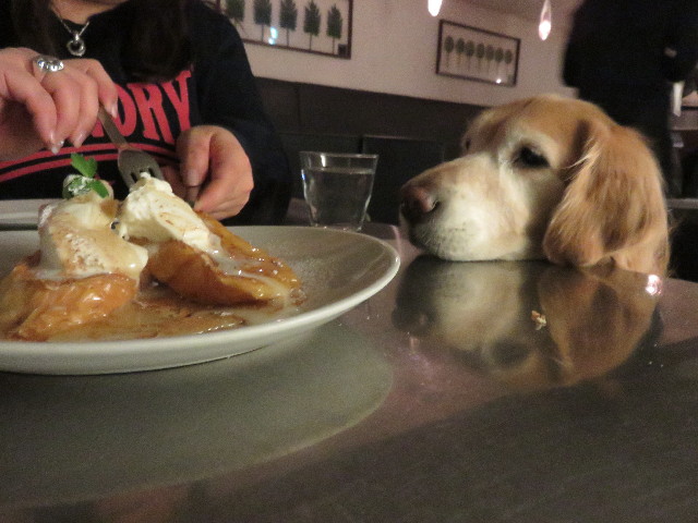 ファイル 4774-4.jpg