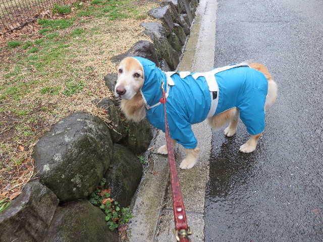 ファイル 4775-2.jpg