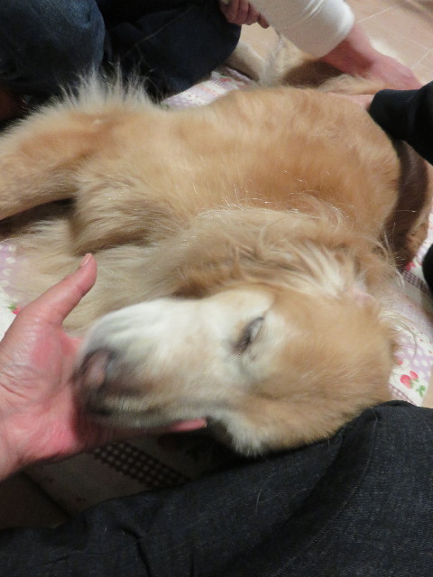 ファイル 4775-3.jpg