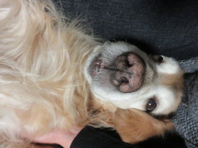 ファイル 4775-4.jpg