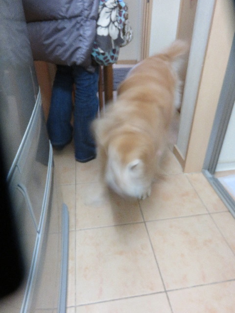 ファイル 4775-5.jpg