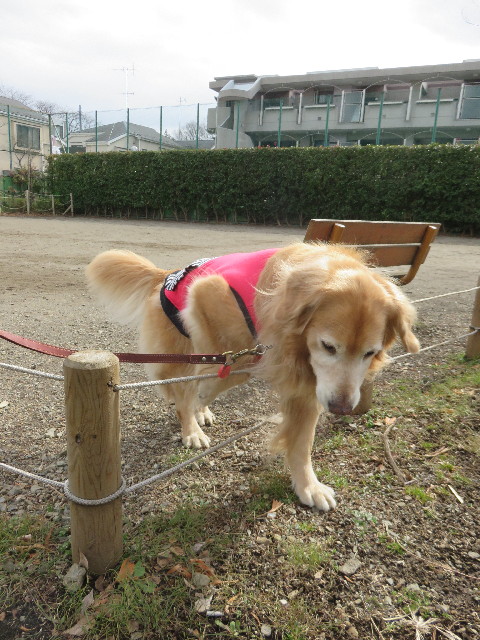 ファイル 4776-3.jpg