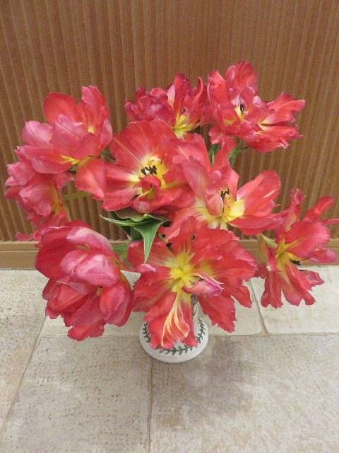 ファイル 4776-5.jpg