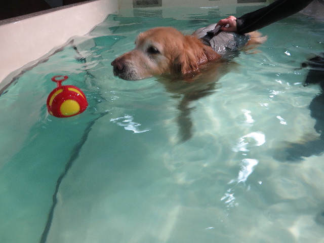 ファイル 4777-2.jpg