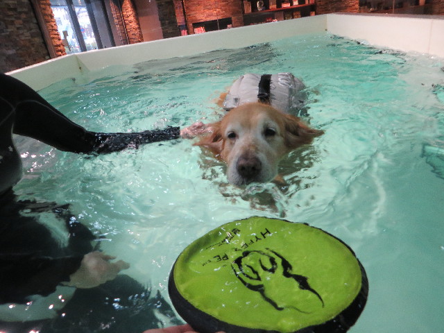 ファイル 4777-4.jpg