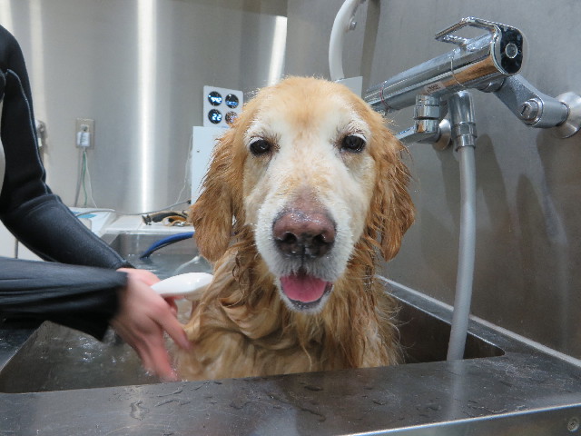 ファイル 4777-5.jpg