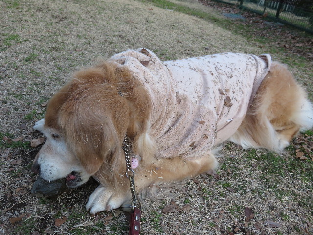 ファイル 4779-1.jpg