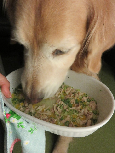 ファイル 4779-5.jpg