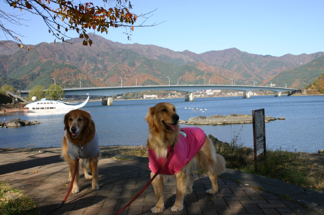 ファイル 478-5.jpg