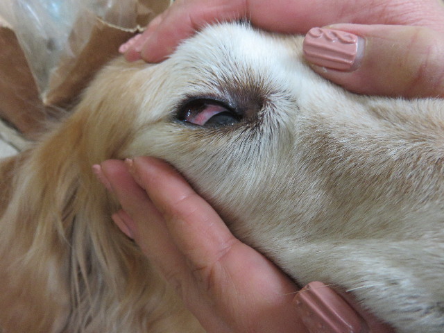 ファイル 4780-3.jpg