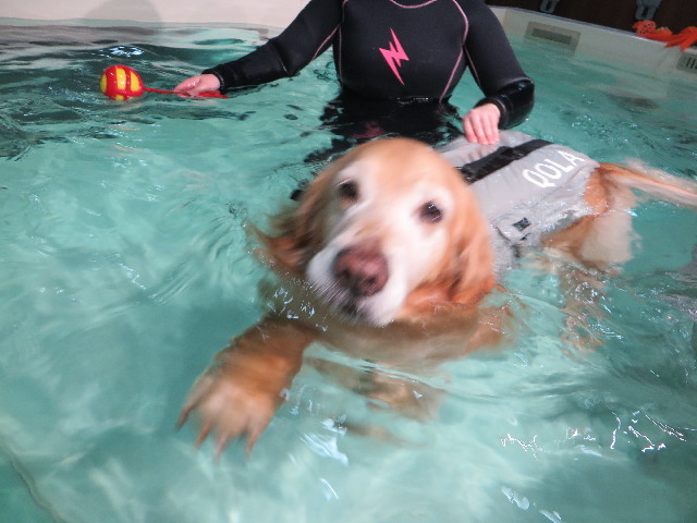 ファイル 4781-2.jpg