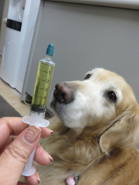 ファイル 4781-5.jpg