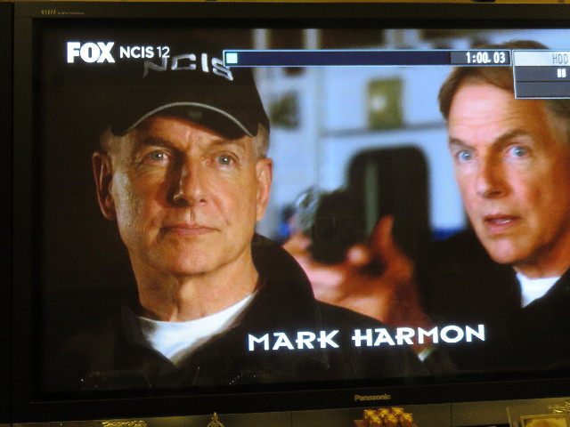 ファイル 4782-1.jpg