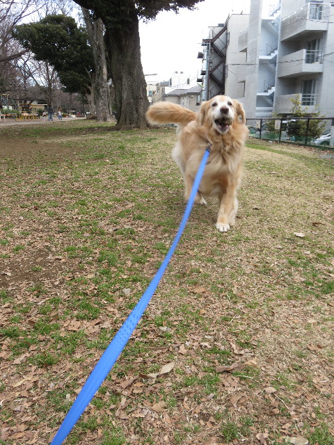 ファイル 4782-3.jpg