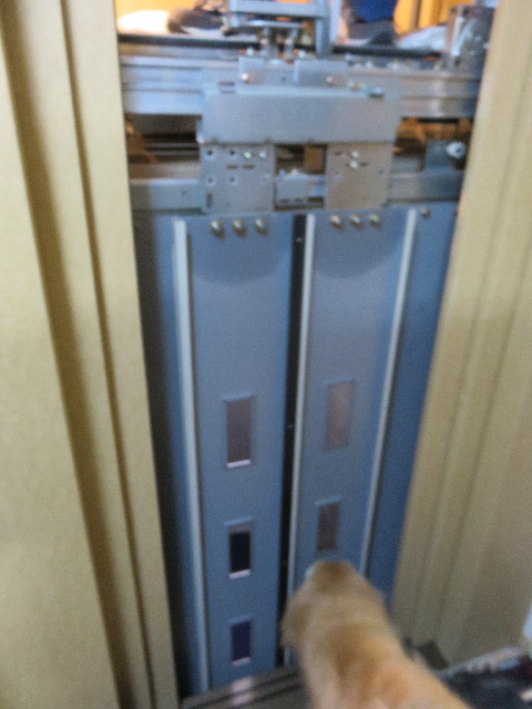 ファイル 4782-5.jpg