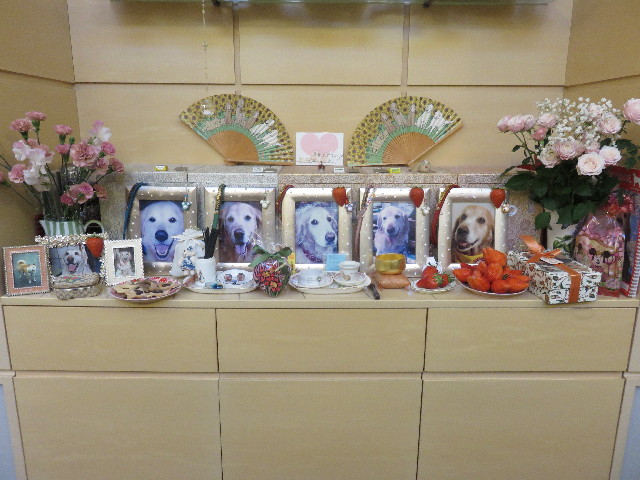 ファイル 4783-2.jpg