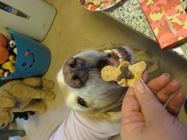 ファイル 4783-4.jpg