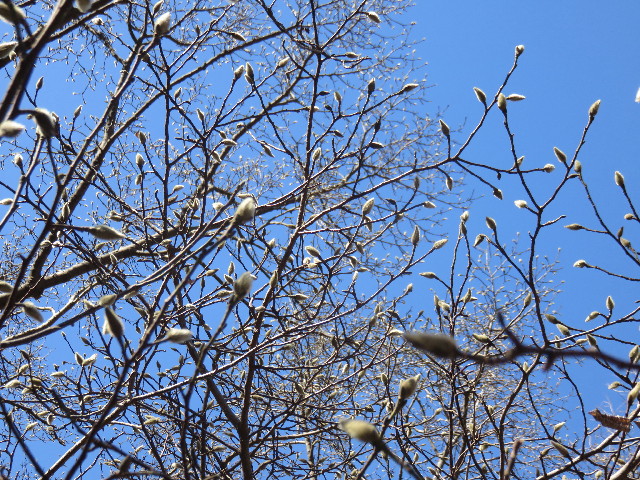 ファイル 4784-3.jpg