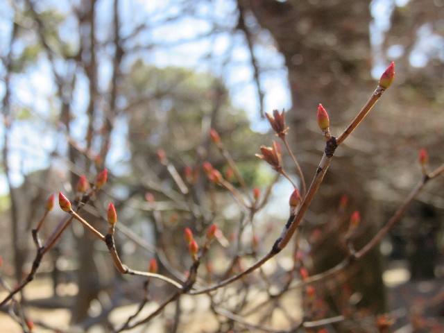 ファイル 4784-5.jpg