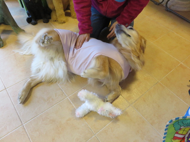 ファイル 4785-1.jpg