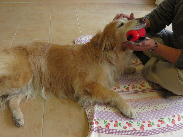 ファイル 4785-4.jpg