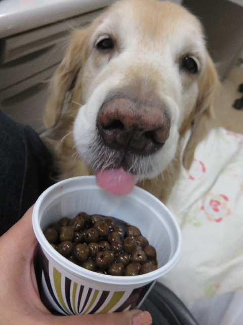 ファイル 4785-5.jpg