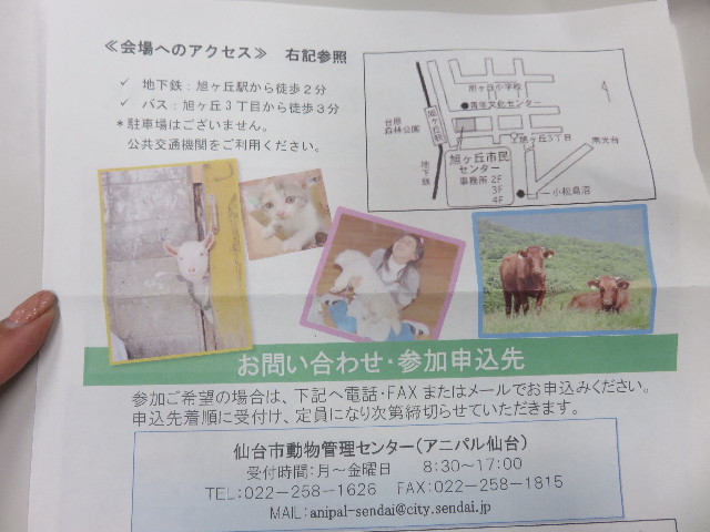 ファイル 4787-2.jpg