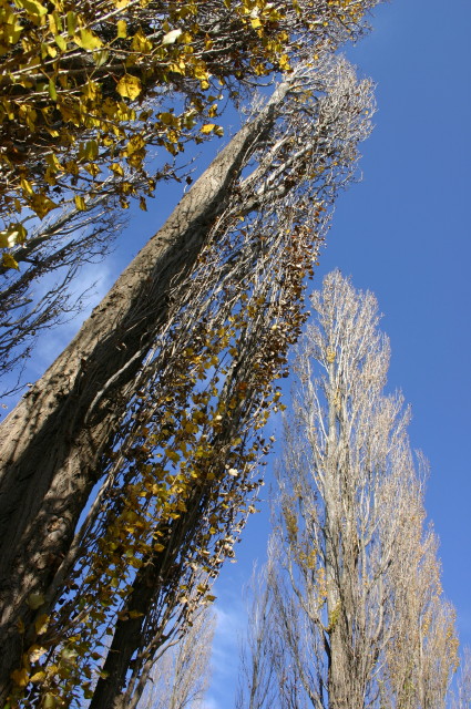 ファイル 479-2.jpg