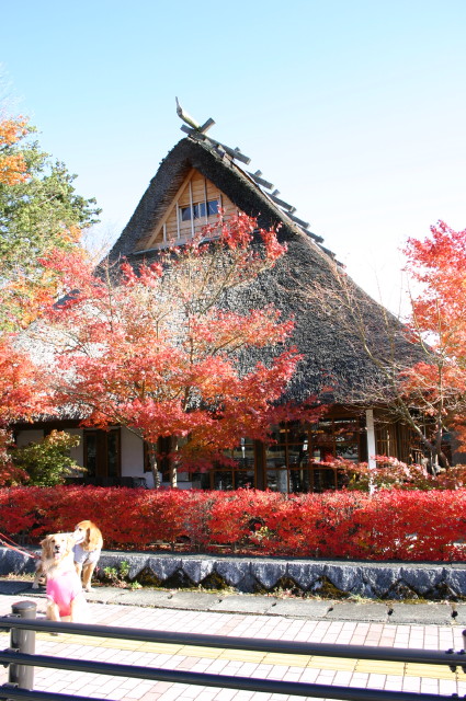 ファイル 479-3.jpg