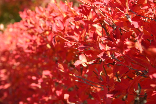 ファイル 479-4.jpg