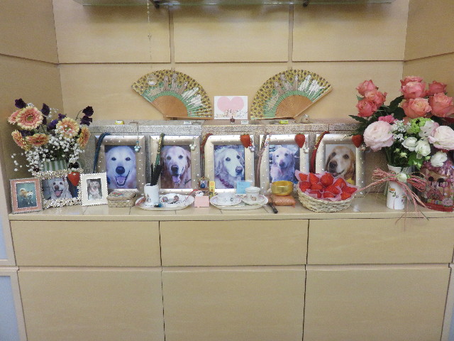 ファイル 4790-2.jpg