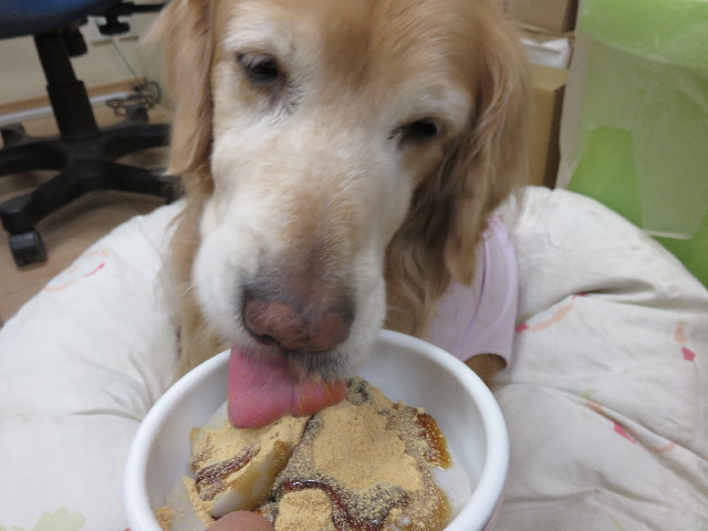 ファイル 4790-3.jpg