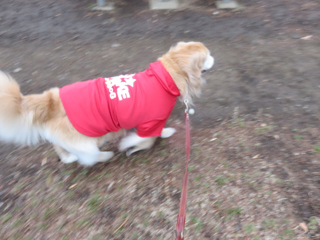 ファイル 4790-4.jpg