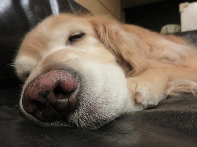 ファイル 4791-1.jpg