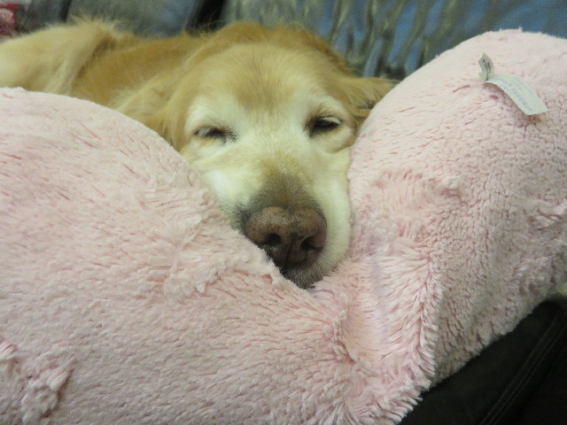 ファイル 4791-2.jpg