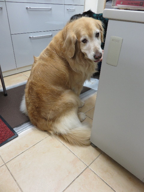 ファイル 4791-4.jpg