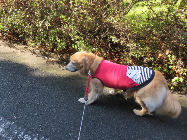 ファイル 4792-1.jpg