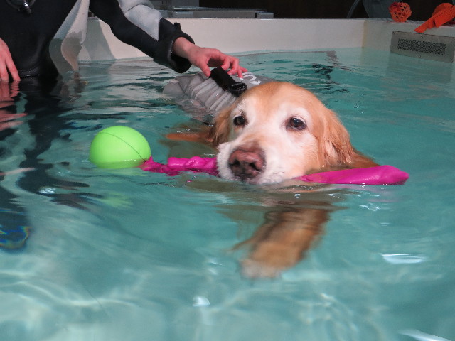 ファイル 4792-2.jpg