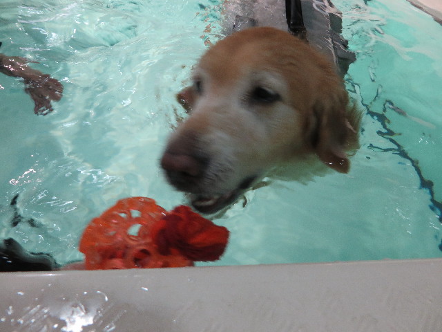 ファイル 4792-3.jpg