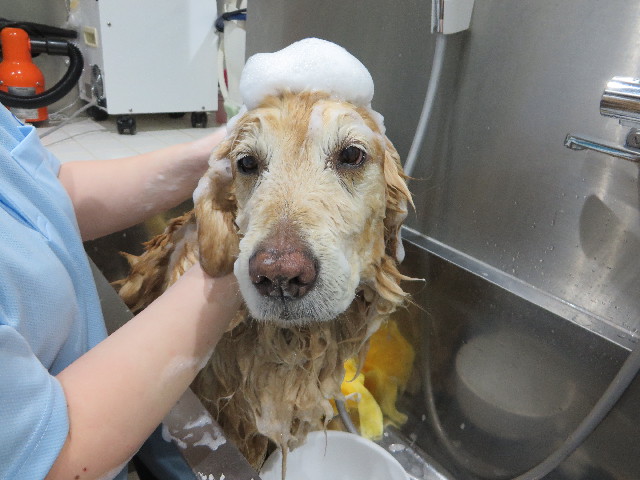 ファイル 4792-5.jpg