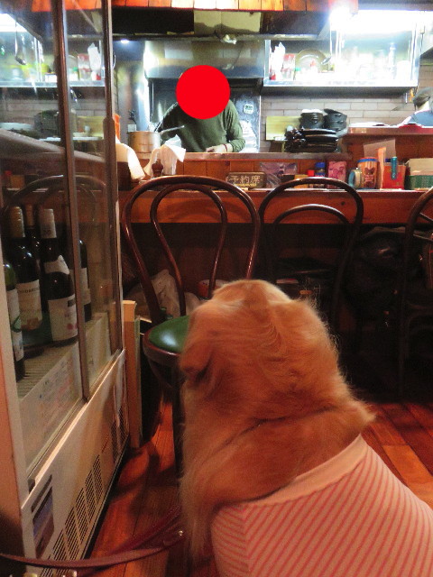 ファイル 4794-3.jpg