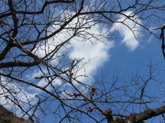 ファイル 4795-3.jpg