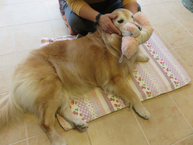 ファイル 4796-3.jpg