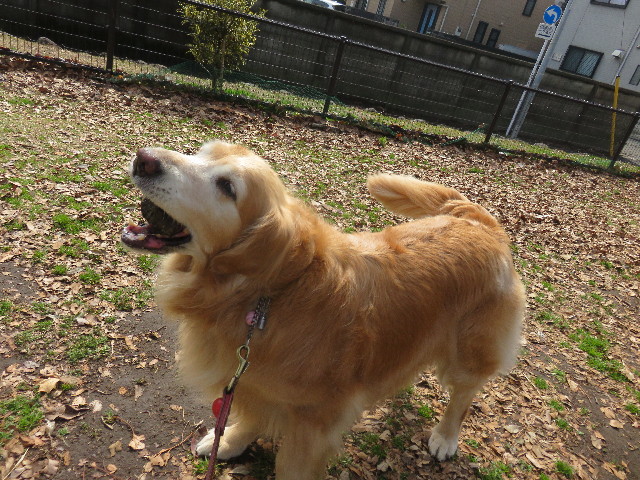 ファイル 4797-3.jpg